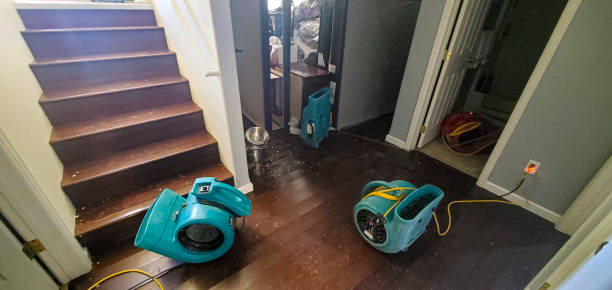 Best Sewage cleanup and water damage restoration  in Waldwick, NJ
