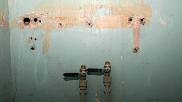 Best Emergency water damage restoration  in Waldwick, NJ